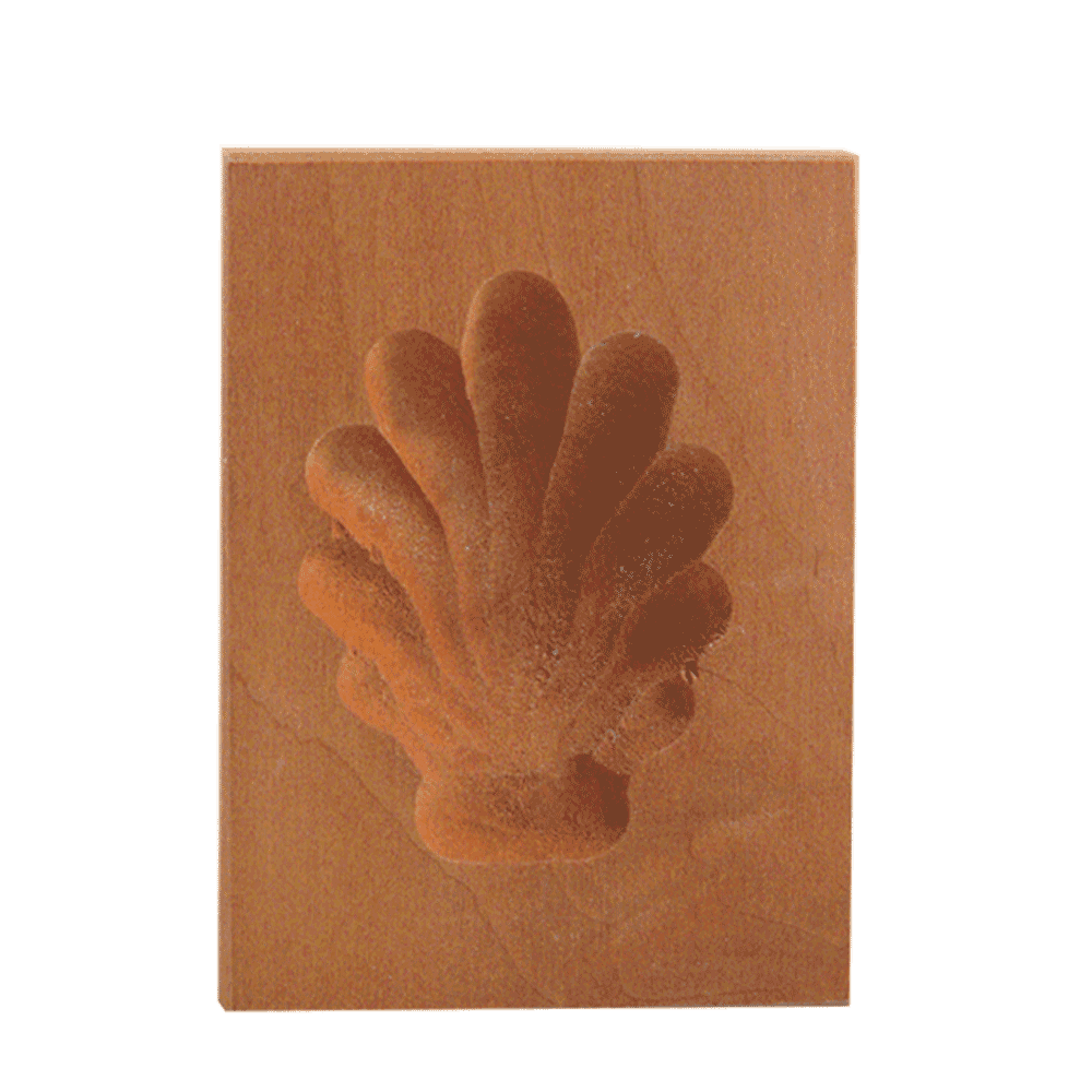 Holzfarbige Bärentatzenform im Rechteck