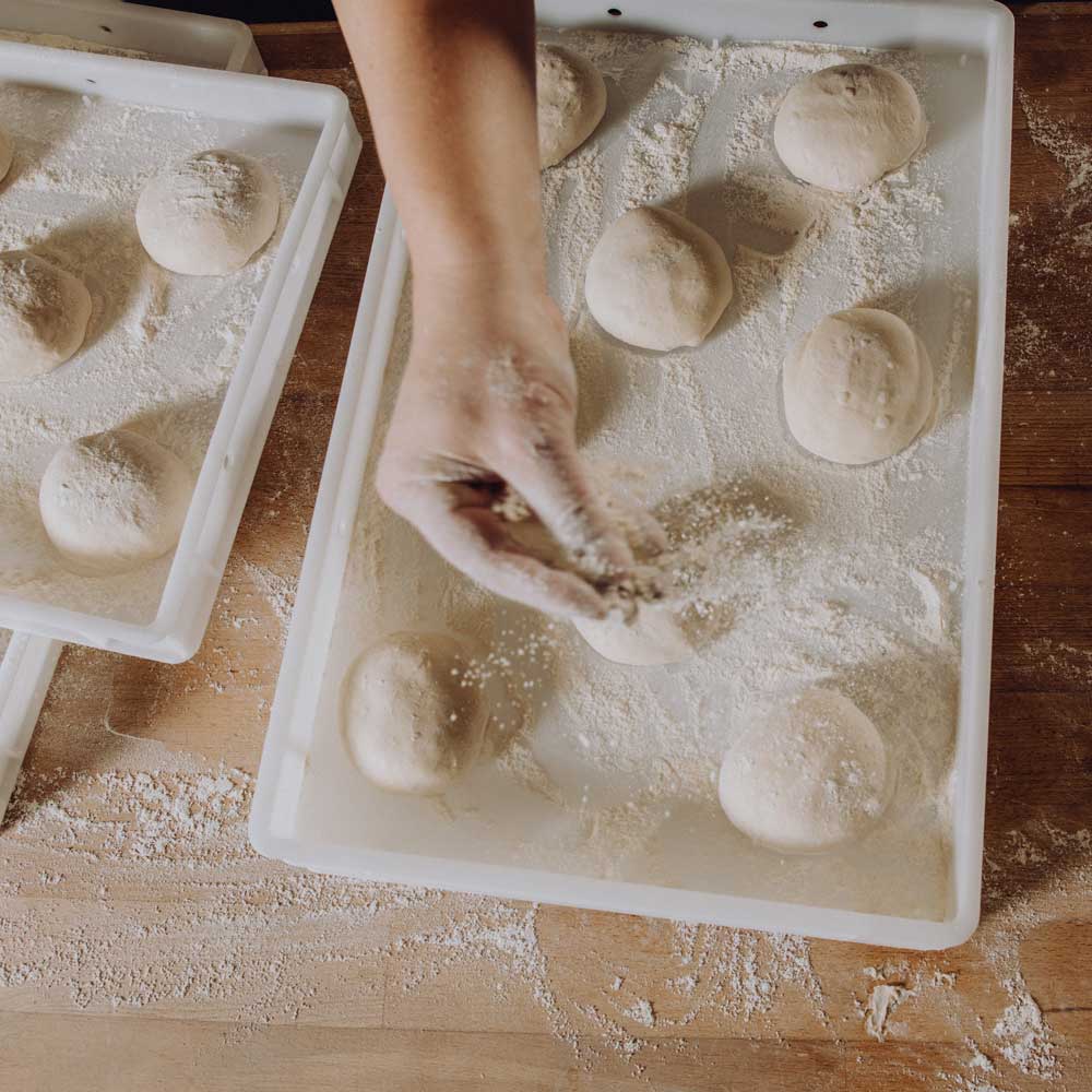 Mehl auf Teiglinge in der Gärbox streuen Hand streut Mehl über runde Teiglinge in einer weißen Gärbox auf einer bemehlten Arbeitsfläche
