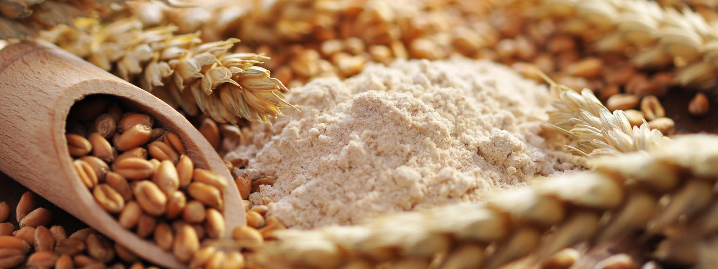 Getreidearten Getreidearten