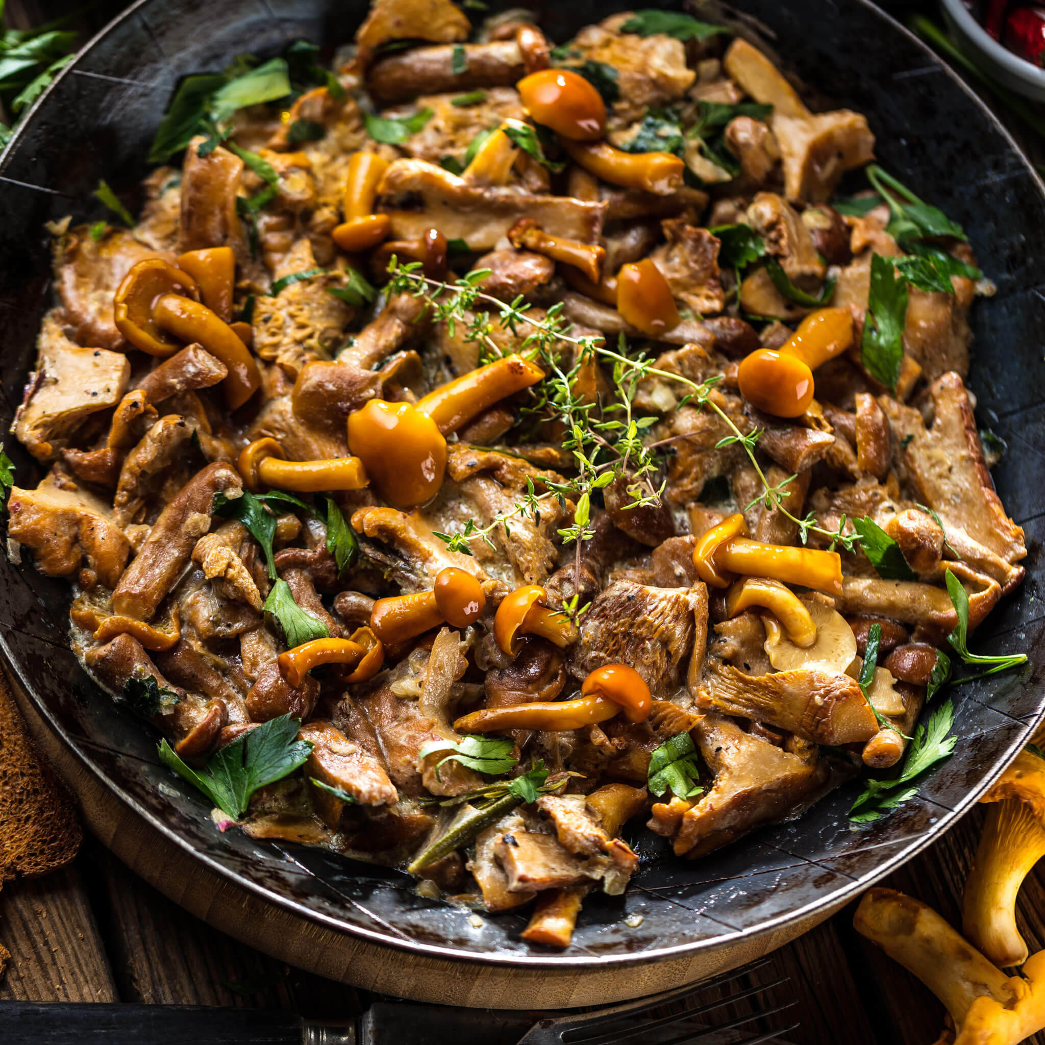 frisches Pilzragout mit verschiedene Pilzen wie Champigions, Pfifferlinge usw. und frischen Kräutern in einem Schmorrtopf serviert 