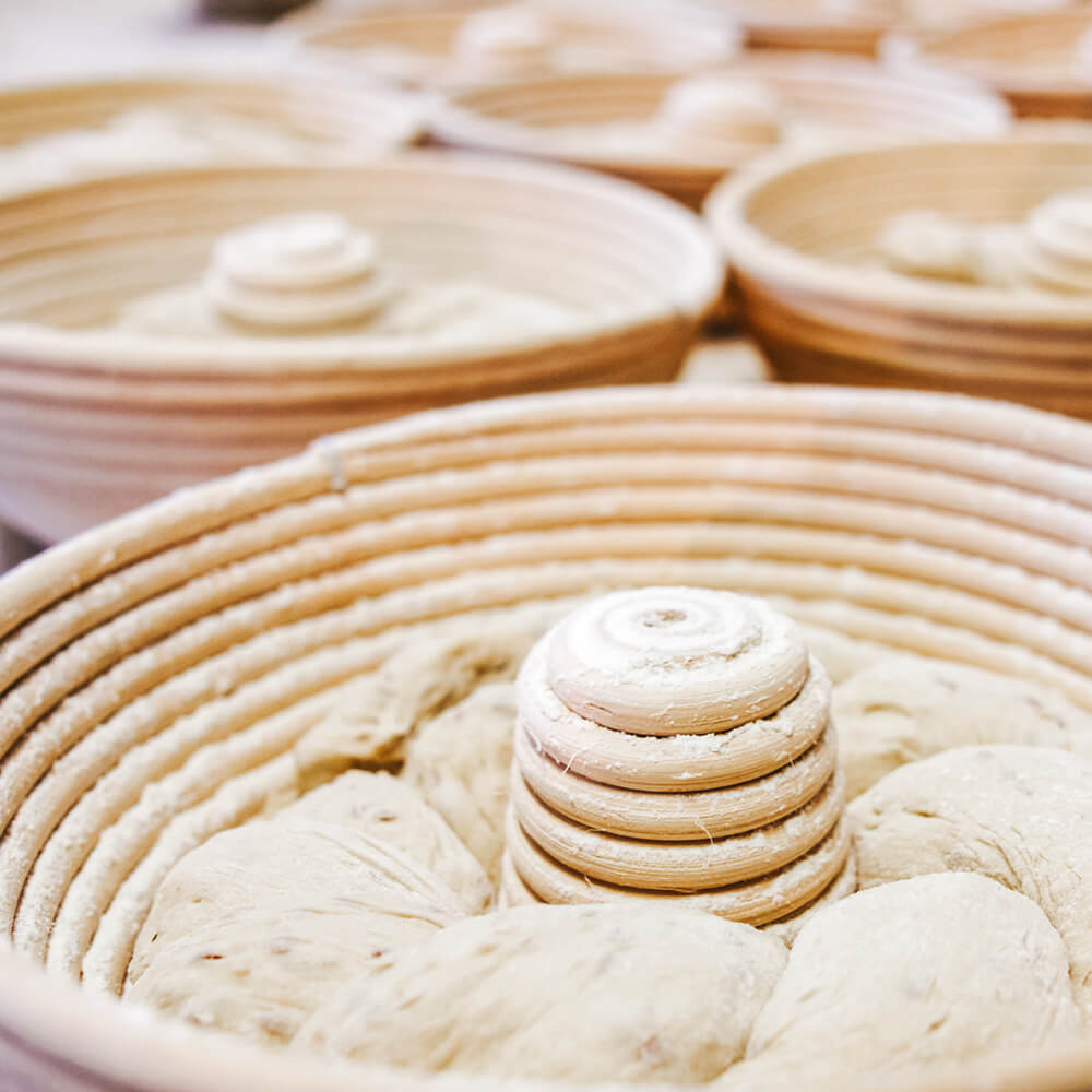 Peddigrohr mit Brotteig