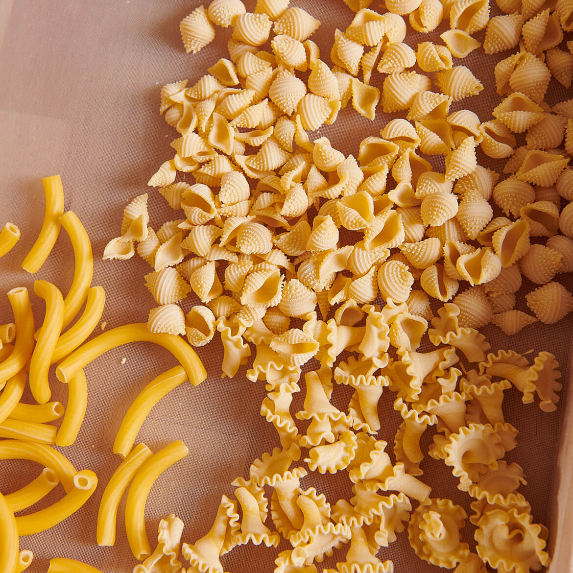 Nudel Kompaktkurs Nudel Kompaktkurs