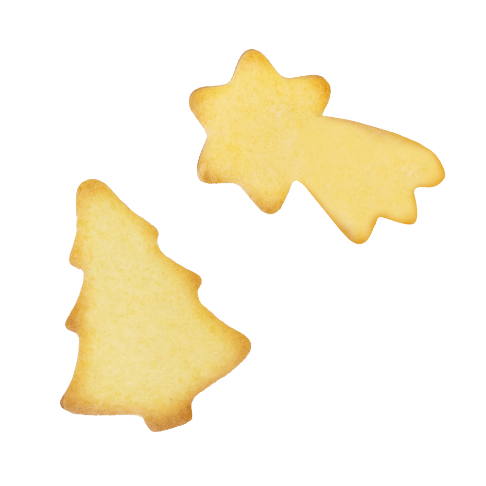 Ausstechmatten für die Plätzchenproduktion 2 ausgestochene Plätzchen Muster Tanne und Sternschnuppe