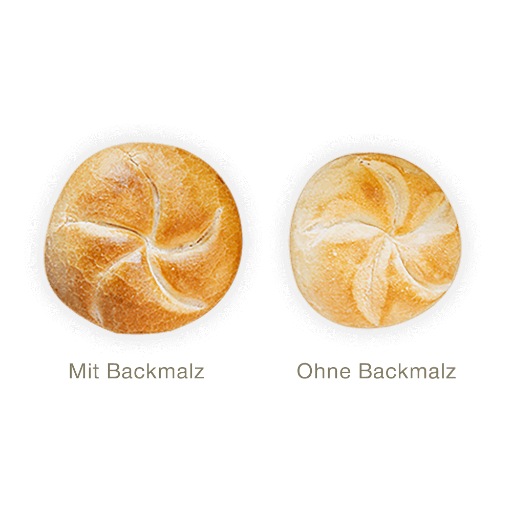 Backmalz für perfektes Kleingebäck Zwei Brötchen am Vergleich nebeneinander ein dunkleres mit Backmalz gebacken und ein helles ohne Backmalz gebacken