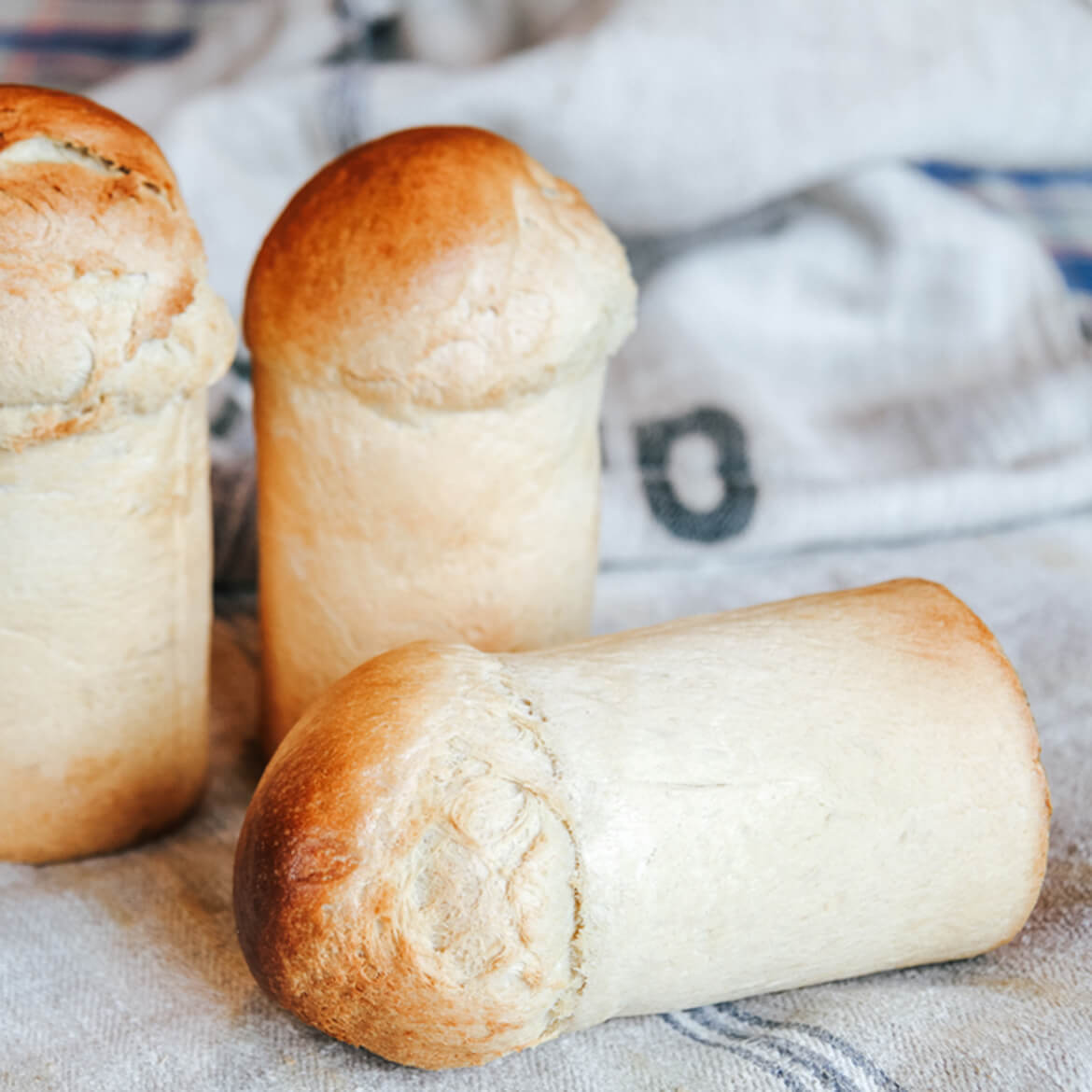 Luftig, lockeres Toastbrot in Pollerbrotform Luftig, lockeres Toastbrot in Pollerbrotform