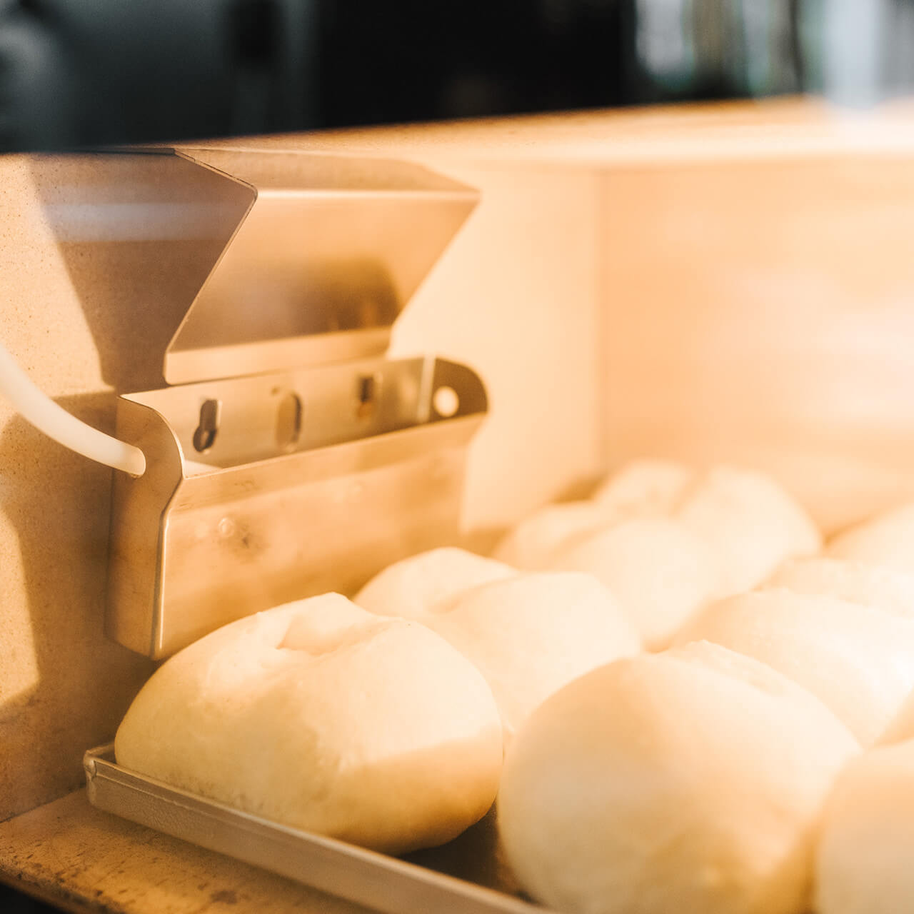 Elektro-Steinbackofen