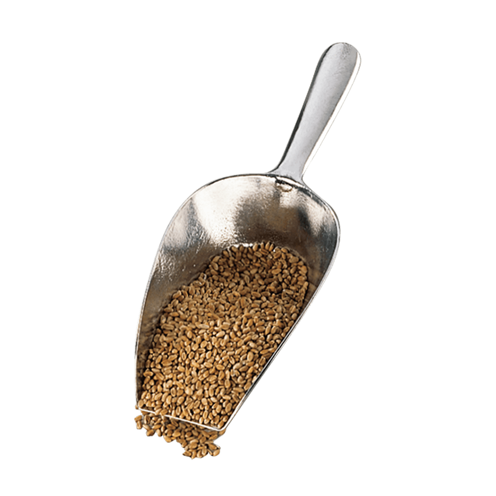 Abwiegeschaufel Aluminium bis 450 g Abwiegeschaufel aus Aluminium bis 450 g Fassungsvermögen, gefüllt mit Getreide, ohne Hintergrund.