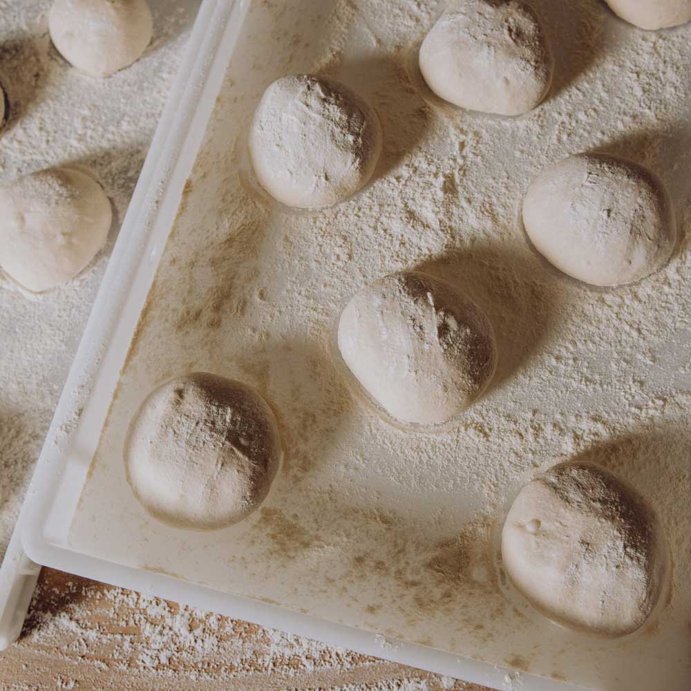 Mehrere bemehlte Teiglinge liegen in einer weißen Gärbox auf einer bemehlten Unterlage