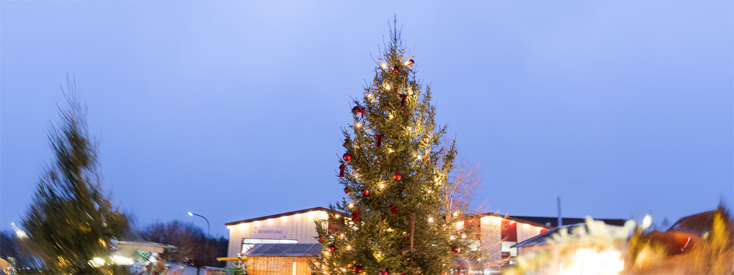 Weihnachtsbaum 