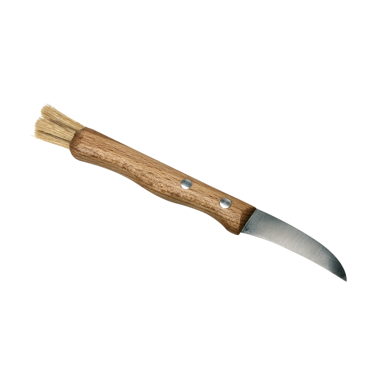 Pilzmesser ohne Hintergrund