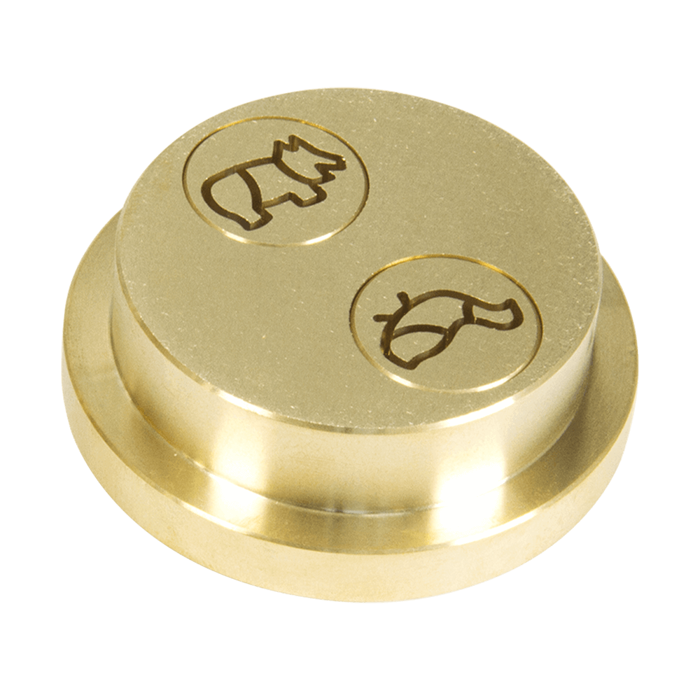 Nudelmatrize Nr. 500 für Schwein- und Huhn-Nudeln für Nudelmaschine Emma und PN 100 ohne Hintergrund.