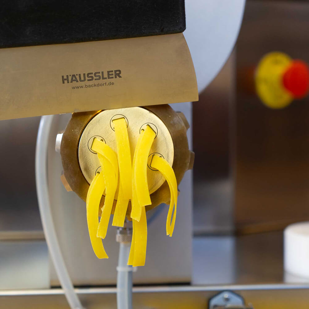 Pasta 300 Nudelmaschine mit der Bandnudeln gemacht werden