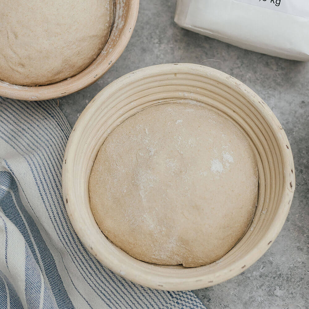 Peddigrohr mit Brotteig