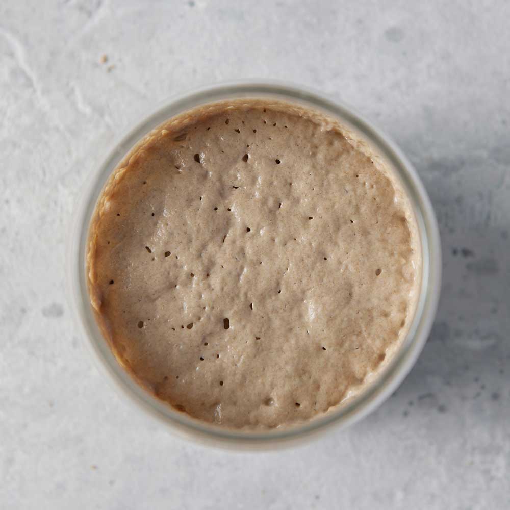 Luftig, lockerer und aktiver Sauerteig mit dem Sauerteigstarter herstellen Reifer Sauerteig im Glas auf einem Stein Untergrund