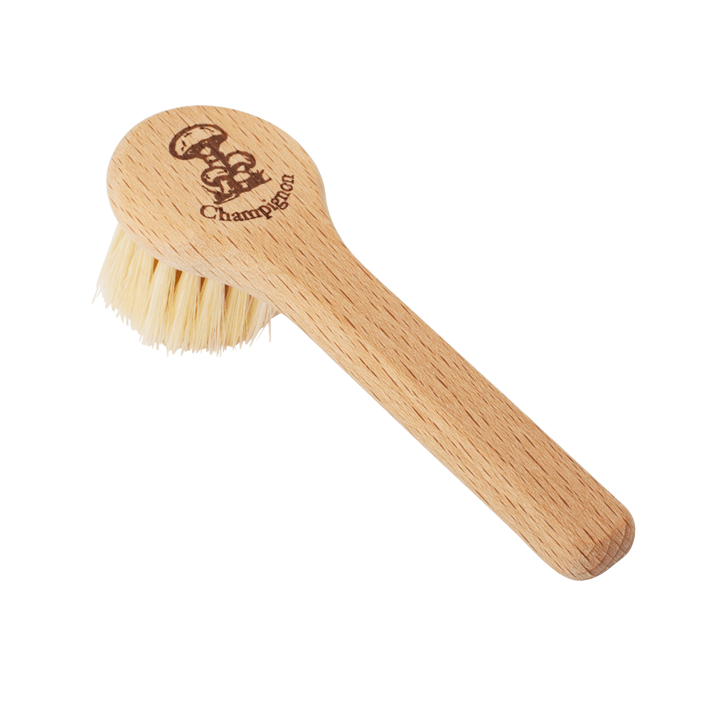 Pilzbürste aus Buchenholz – Helle Borsten für saubere Pilze Pilz-Bürste ohne Hintergrund