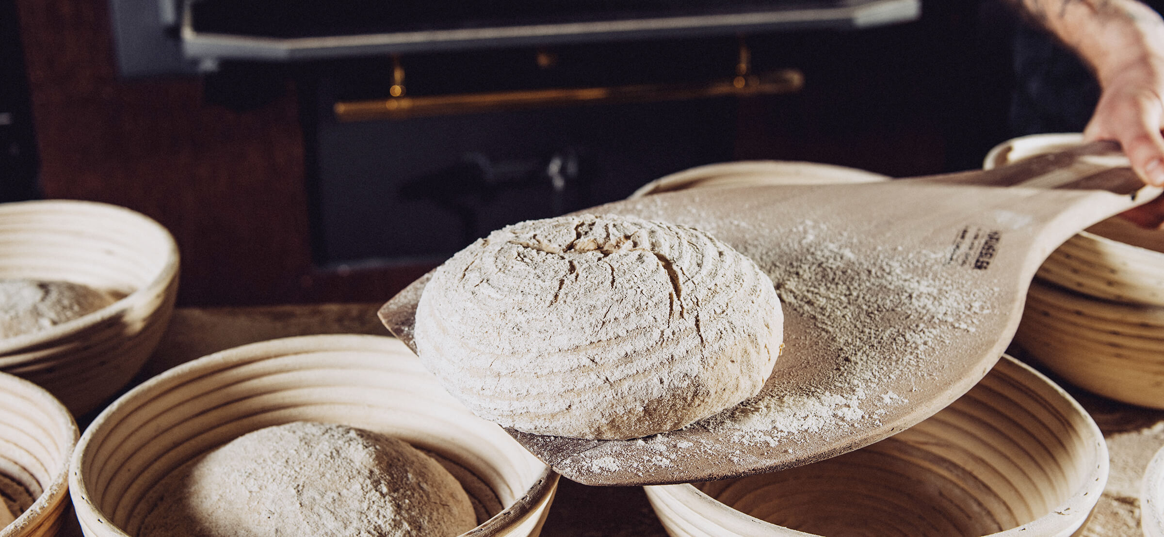 Brotteigling Bäckermeister