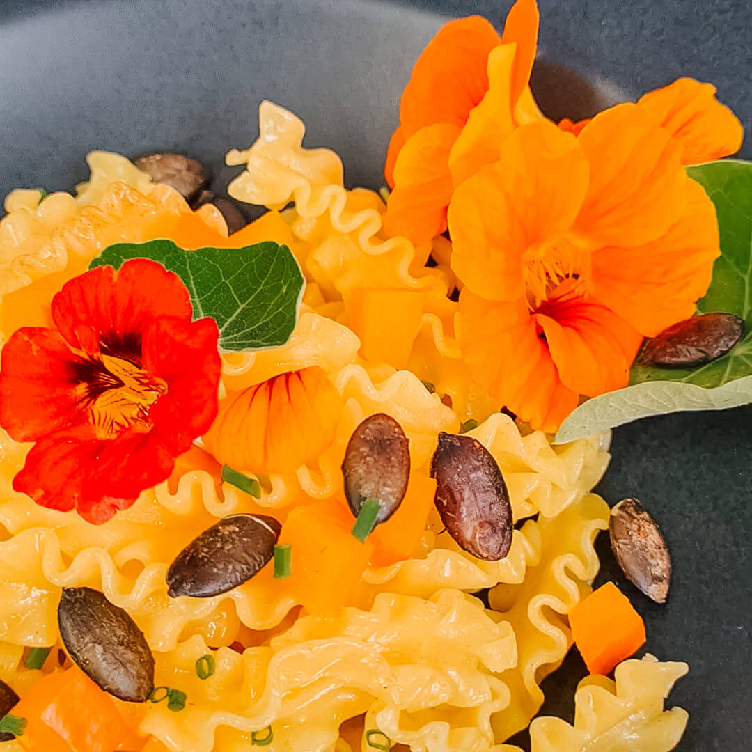 frsiche Kürbisnudeln in Butter geschwenkt Kürbisnudeln mit Kürbiskerne auf einem schwarzen Nudelteller