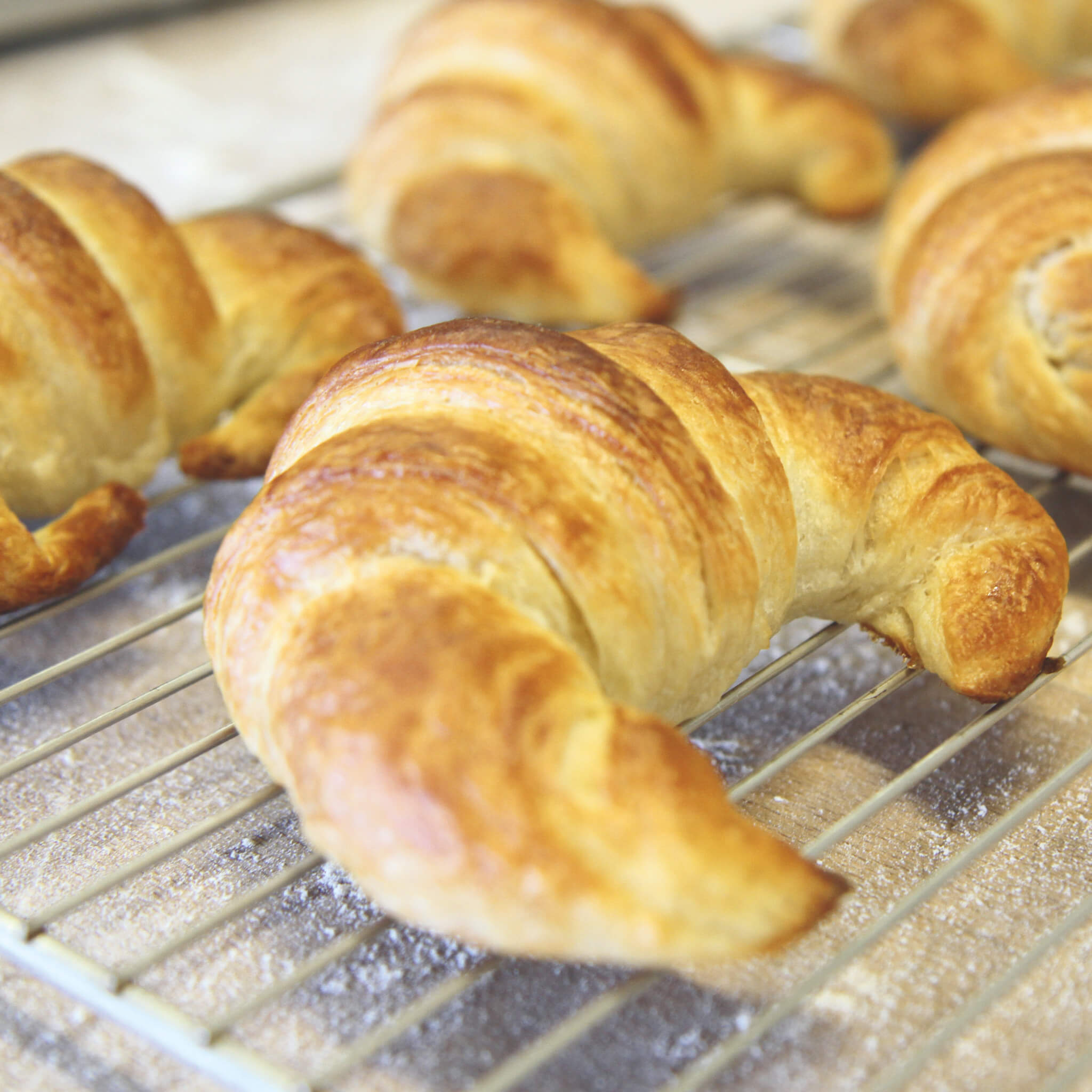 Rezept für Croissants mehrere Croissants auf einem Gitterblech