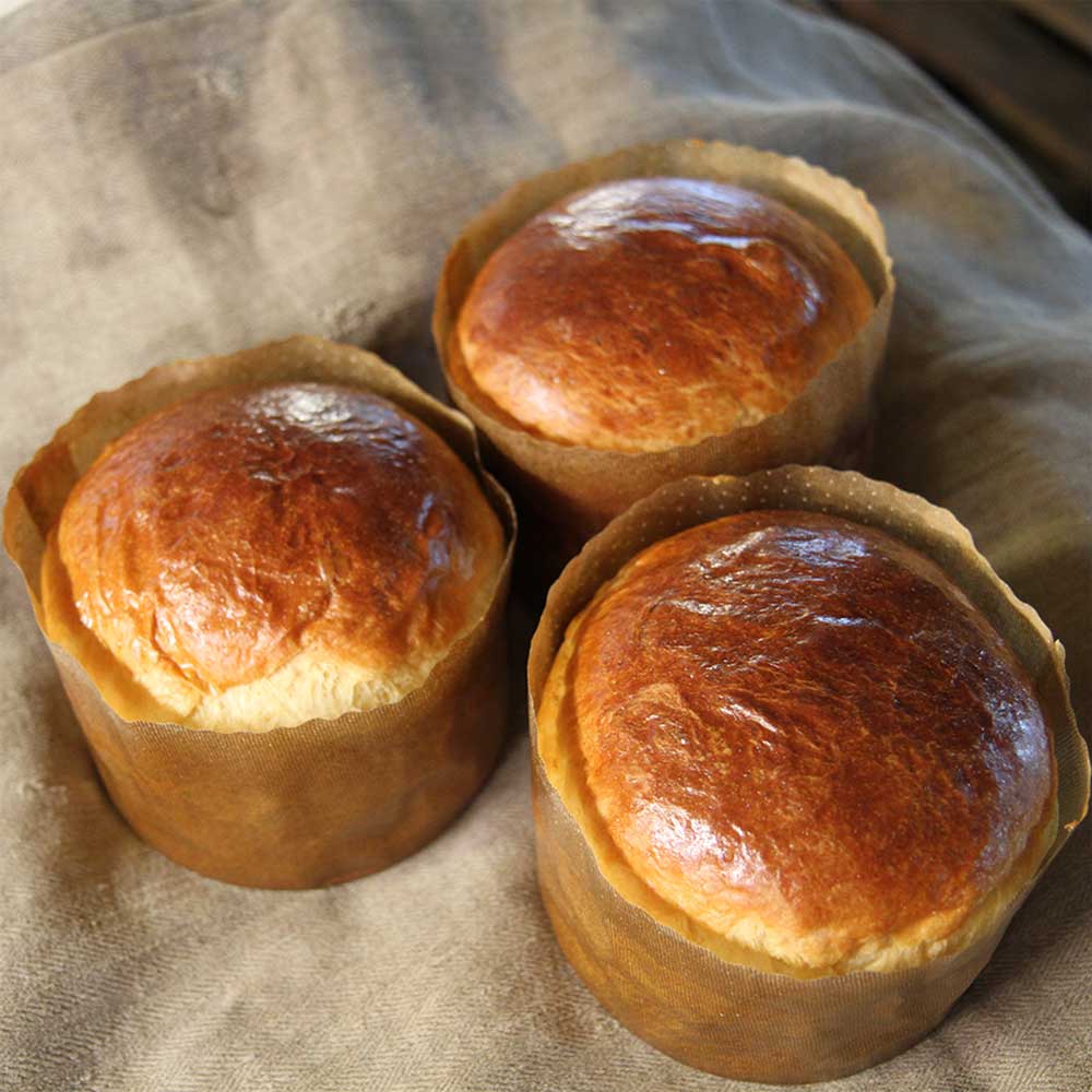 Drei Panettone-Backformen mit jeweils einem Panettone Gebäck, die auf einem beigen Leinentuch stehen.